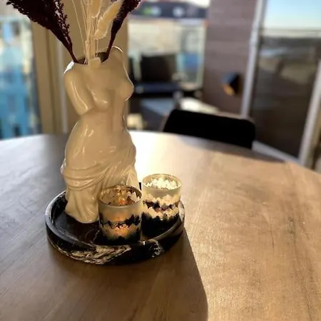 公寓 Luxury Penthouse 奥斯陆