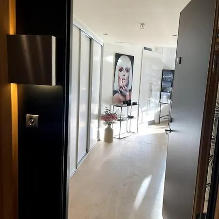 公寓 Luxury Penthouse 奥斯陆